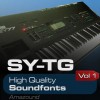 SY-TG Vol 1 - Soundfonts